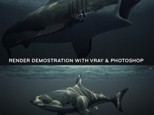great white shark Model 3D
