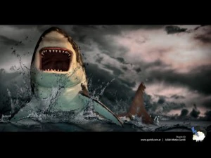 great white shark 3D Model