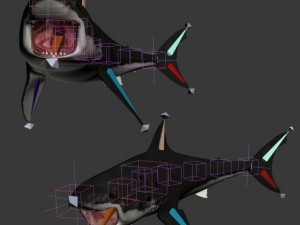 great white shark Model 3D