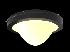 ceiling lamp for roof 3D Модель