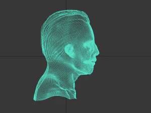 human head 3D Model