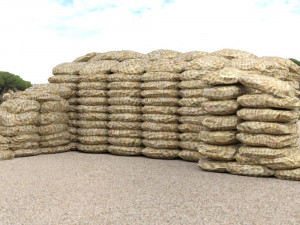 medieval ruins in fbx and obj formats Model 3D