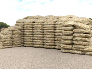 ru&iacute;nas medievais em formatos fbx e obj Modelo 3D