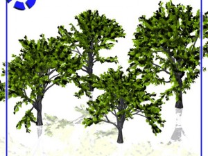 vp tree set 1 3D मॉडल