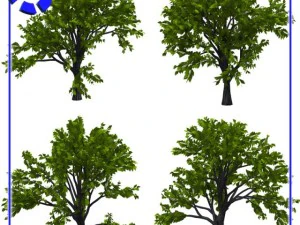vp tree set 1 3D Model