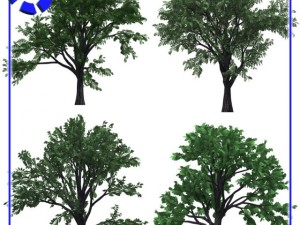 vp tree set 1 3D मॉडल