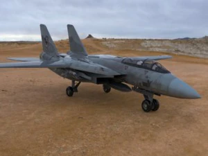 f 14 tomcat 3D Model