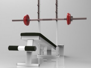 declined press bench Modello 3D