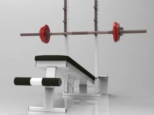 declined press bench 3D Model