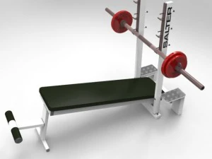 declined press bench 3D Model