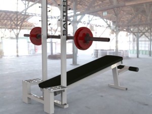 declined press bench Modello 3D
