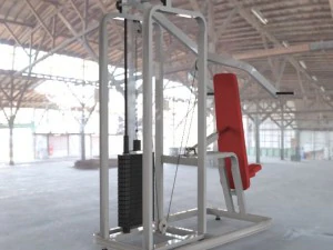 incline press 3D Model
