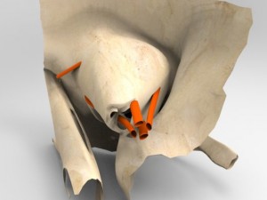 human eye Modelo 3D