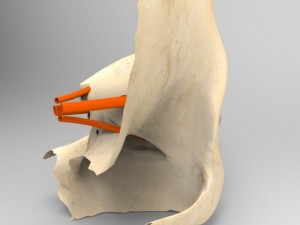 human eye Modelo 3D