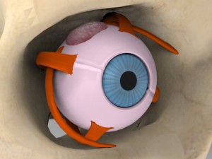 human eye Modelo 3D