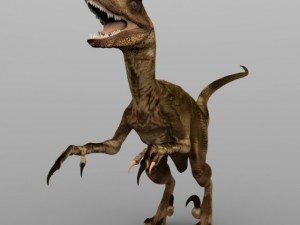 deynonichus Modello 3D