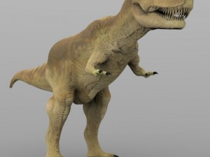 tyrannosaurus rex 3D Model