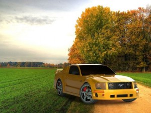 ford mustang Model 3D
