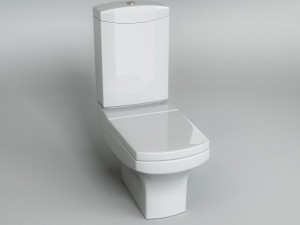 toilet wcs Modelo 3D