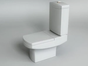 toilet wcs 3D Model
