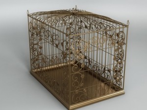 birdcage Model 3D
