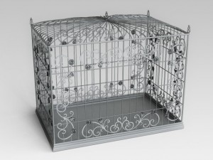 birdcage Model 3D