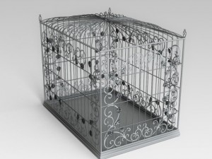 birdcage Model 3D