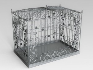 birdcage Model 3D
