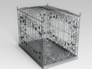 birdcage Model 3D