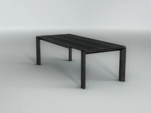 table 3D Model