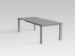 table 3D Model