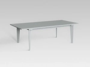 table 3D Model