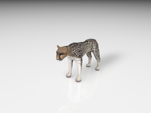 realistic cheetah Modelo 3D .c4d .max .obj .3ds .fbx .stl .blend 