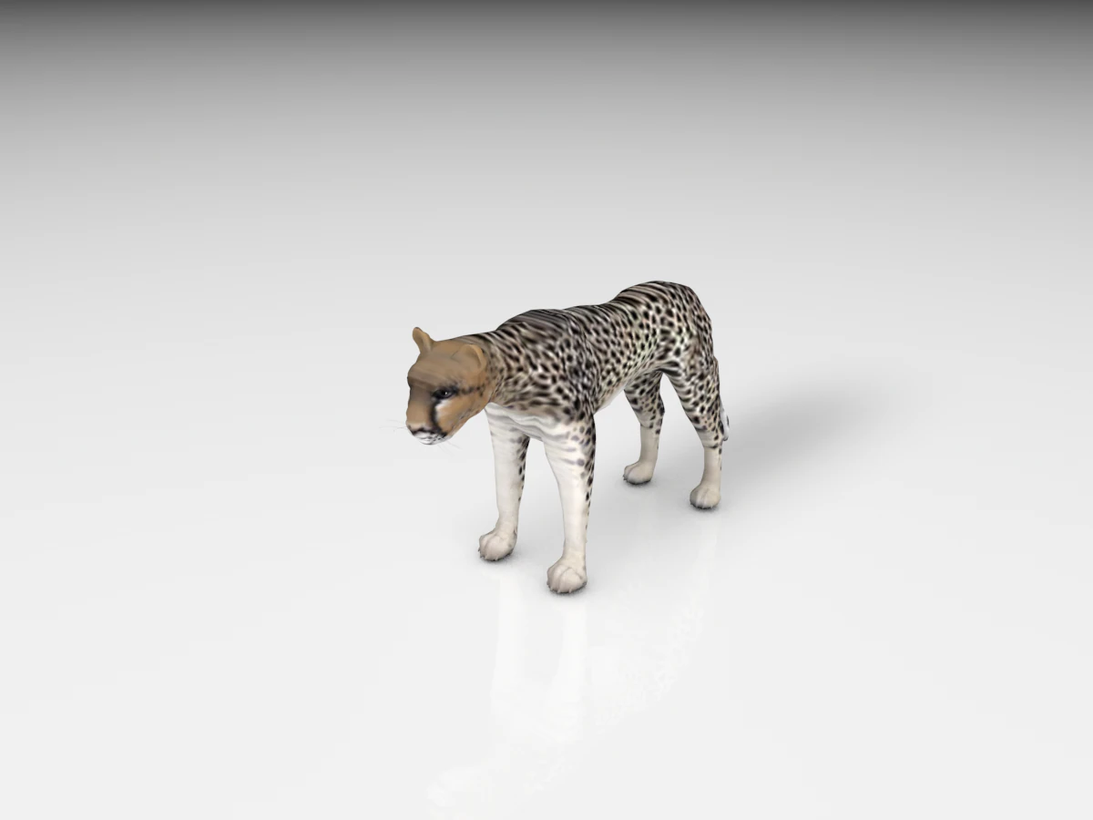 realistyczny gepard Model 3D .c4d .max .obj .3ds .fbx .stl .blend 