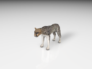 realistic cheetah 3D-Modell