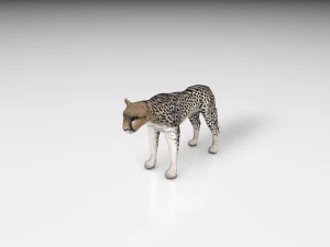 現実的なチーター 3Dモデル