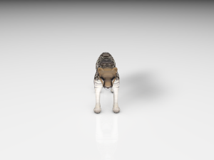 realistic cheetah Modelo 3D