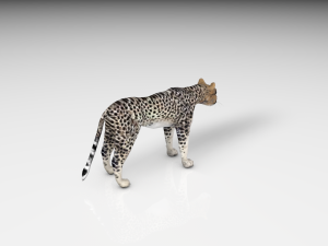 realistic cheetah Modelo 3D