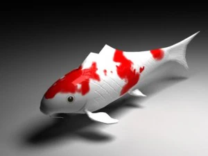 koi Model 3D