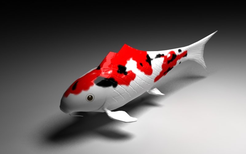 Koi 3D Model in Fish 3DExport