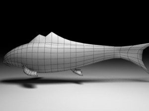 koi Modello 3D