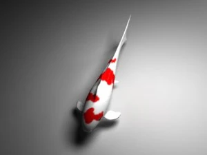 koi 3D Model