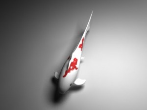 koi Modello 3D