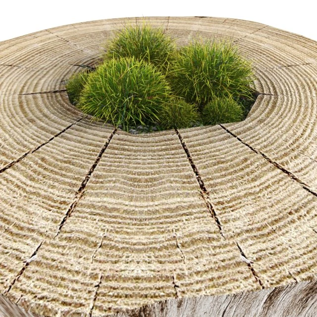 decorative stump 3D Model .c4d .max .obj .3ds .fbx .stl .blend