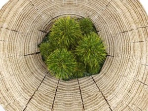 decorative stump 3D Model