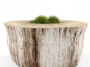 decorative stump Modelo 3D