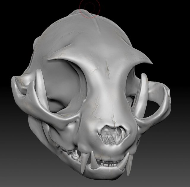 cat skull zbrush sculpture 3D-Modell .c4d .max .obj .3ds .fbx .stl .blend 