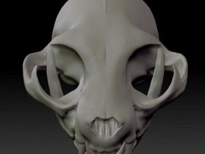 cat skull zbrush sculpture 3D-Modell