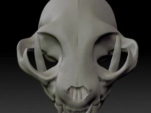 cat skull zbrush sculpture 3D Model