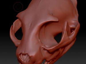 cat skull zbrush sculpture 3D-Modell